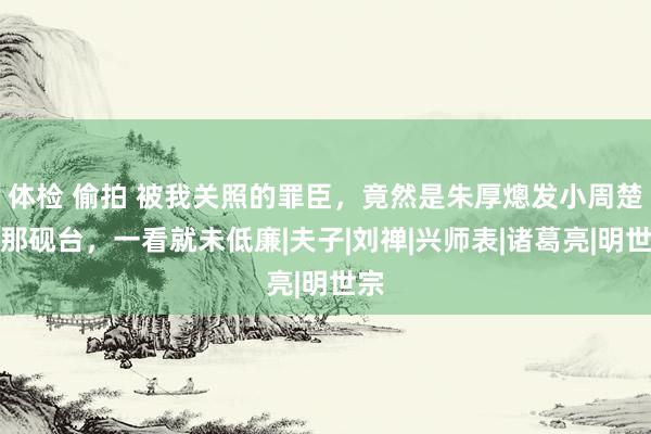 体检 偷拍 被我关照的罪臣，竟然是朱厚熜发小周楚：那砚台，一看就未低廉|夫子|刘禅|兴师表|诸葛亮|明世宗