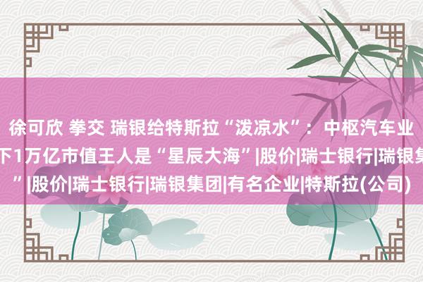 徐可欣 拳交 瑞银给特斯拉“泼凉水”：中枢汽车业务只占市值12%，剩下1万亿市值王人是“星辰大海”|股价|瑞士银行|瑞银集团|有名企业|特斯拉(公司)