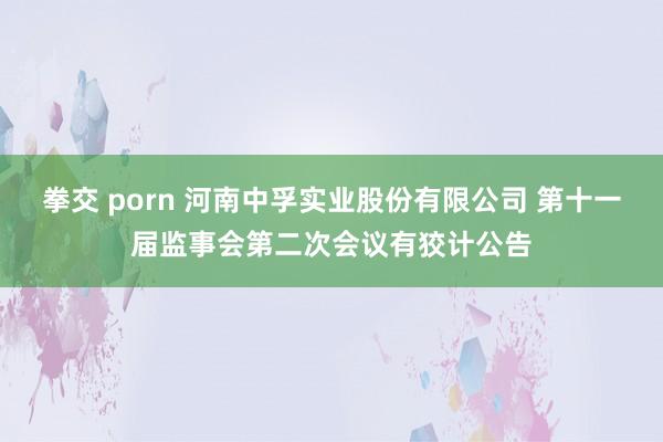 拳交 porn 河南中孚实业股份有限公司 第十一届监事会第二次会议有狡计公告